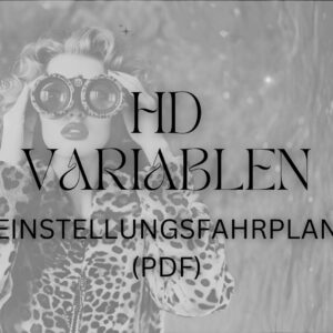 HD Variablen Einstellungs-Fahrplan (PDF)